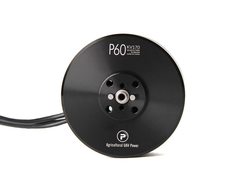 T Motor P Series P60 170KV