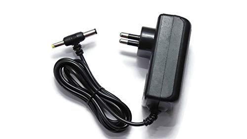 6V 1A Power Adapter