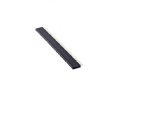 Female Header 2.54mm 40 Pin Single Row