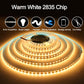 Strip Light For Home Decoration | Strips Light For Ceiling | 120 Leds/Mtr | Tape Light | 5 Meter